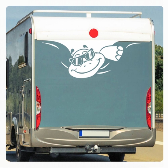 Schildkröte Sticker Aufkleber Autoaufkleber Cool Sonnenbrille Wohnmobil Aufkleber WoMo107